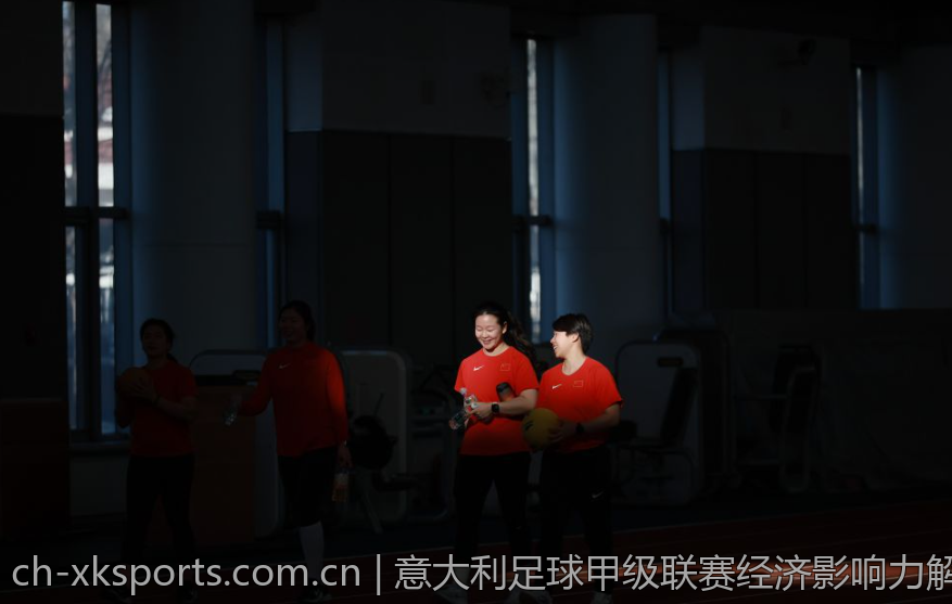 意大利足球甲级联赛经济影响力解析